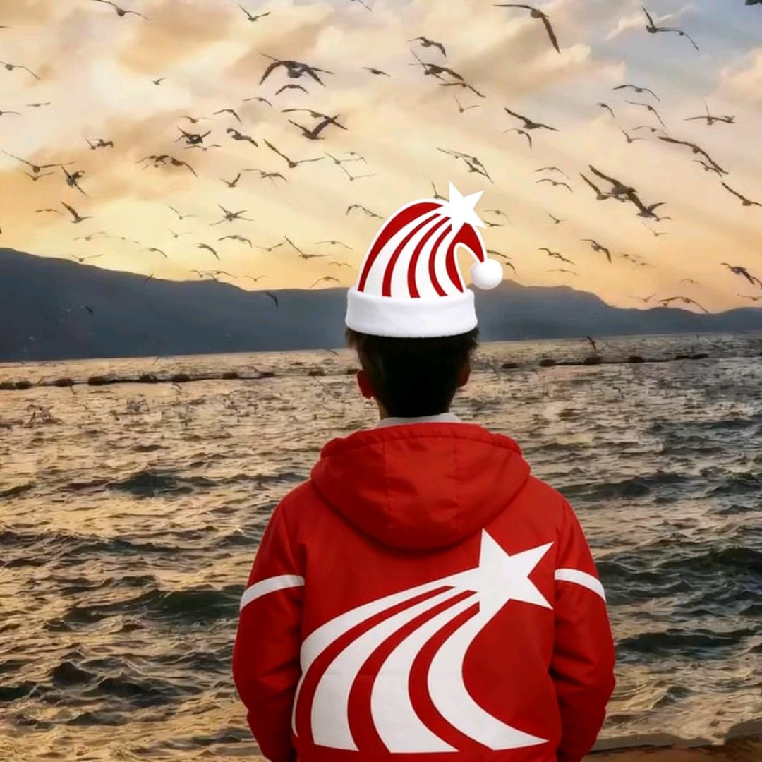 暂无.
