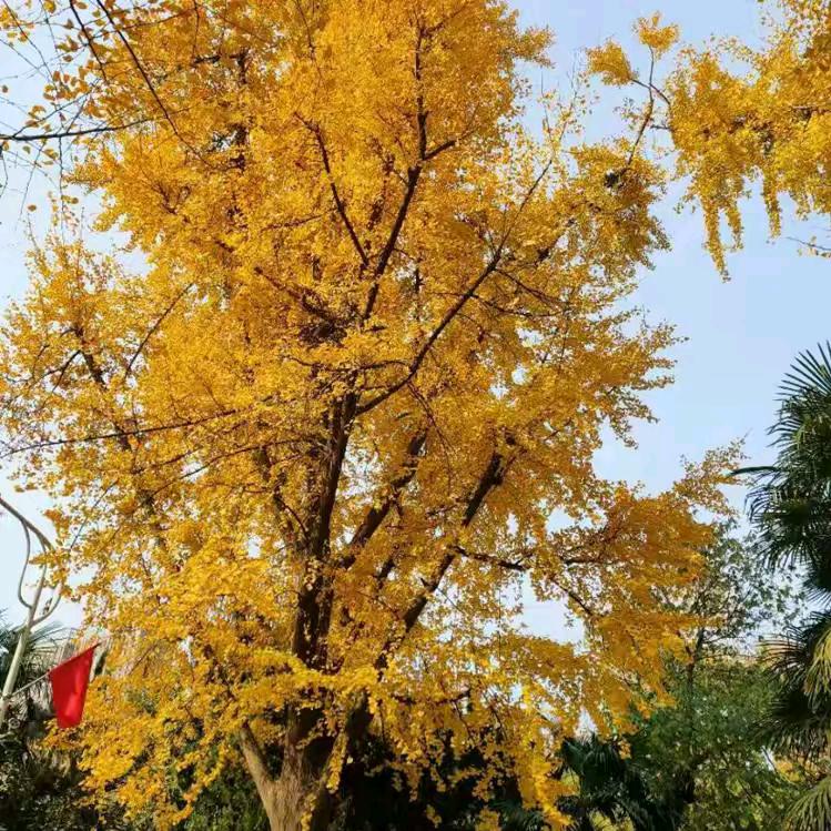 涵涵头像