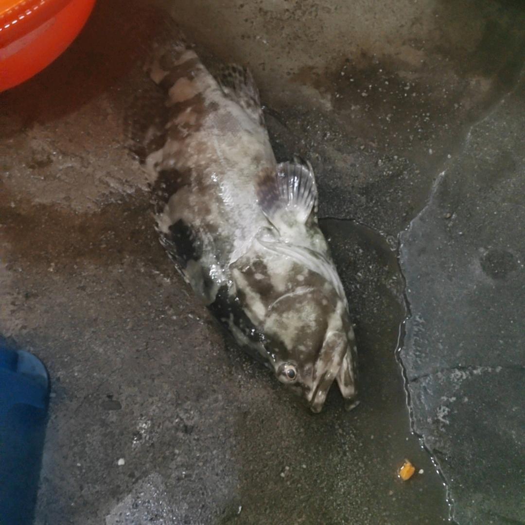 钢结构安装团队