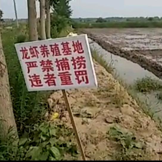 新兴村养虾户