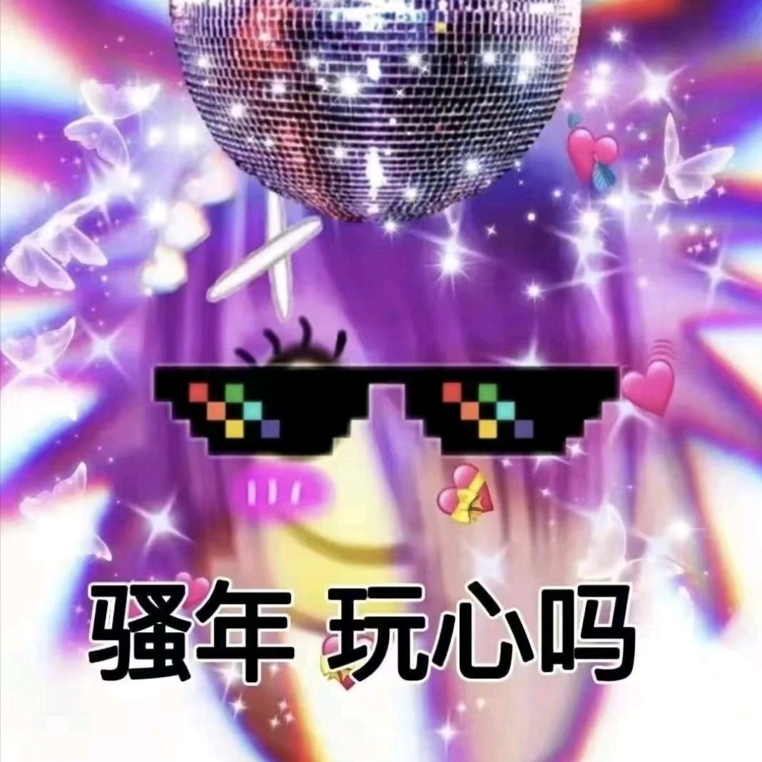 高冷·美