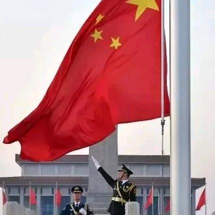 与白鹭齐飞