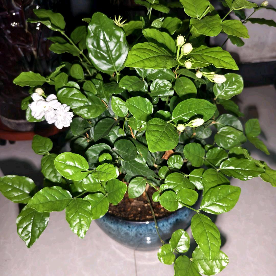 好好爱自己