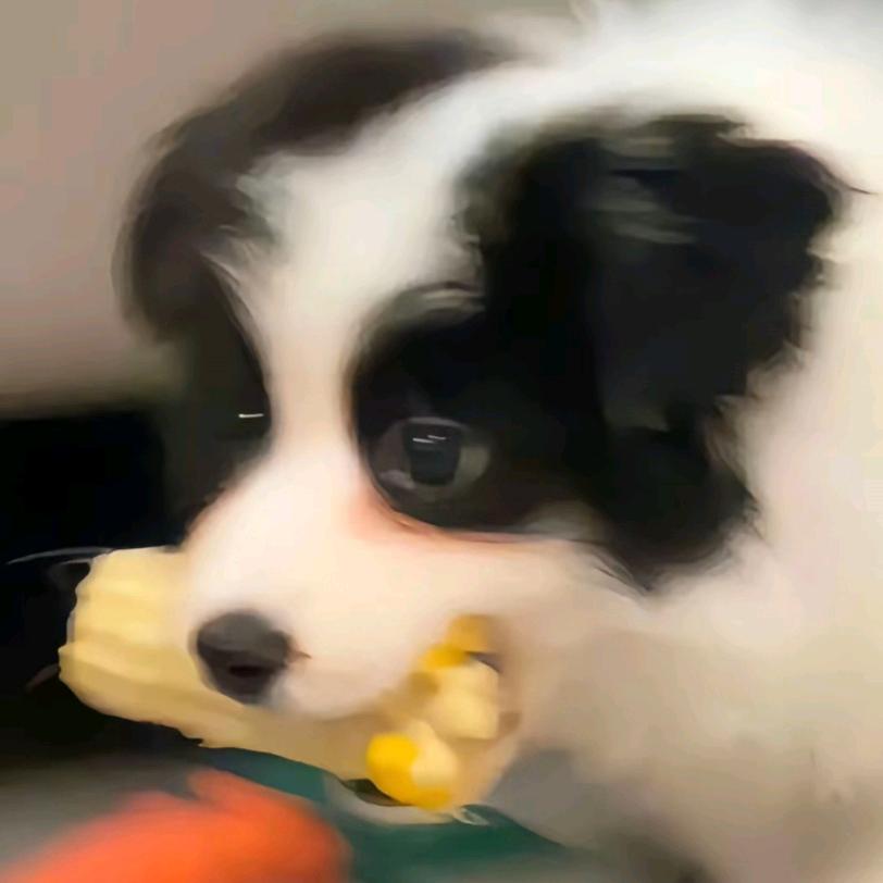 宇曦
