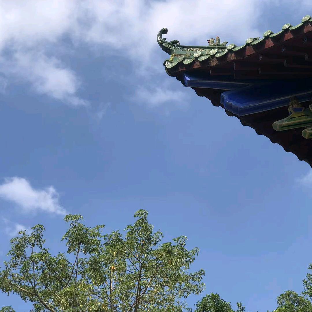 分界线