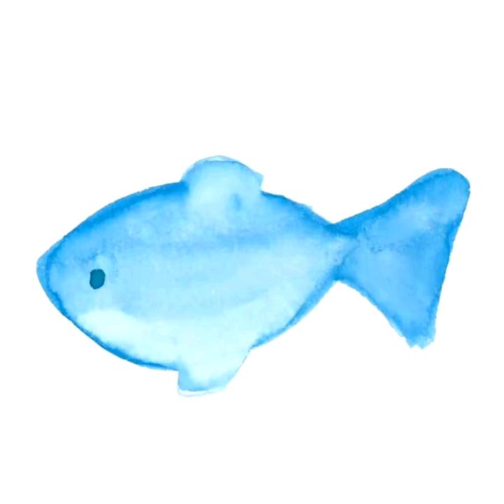 马十八🐬