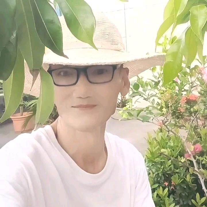 与世无争