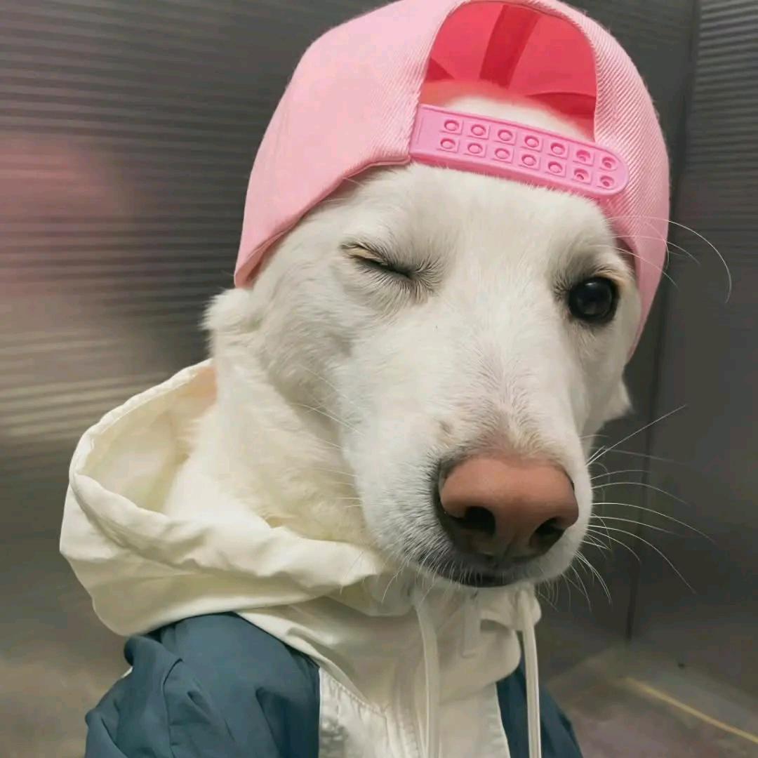 随便