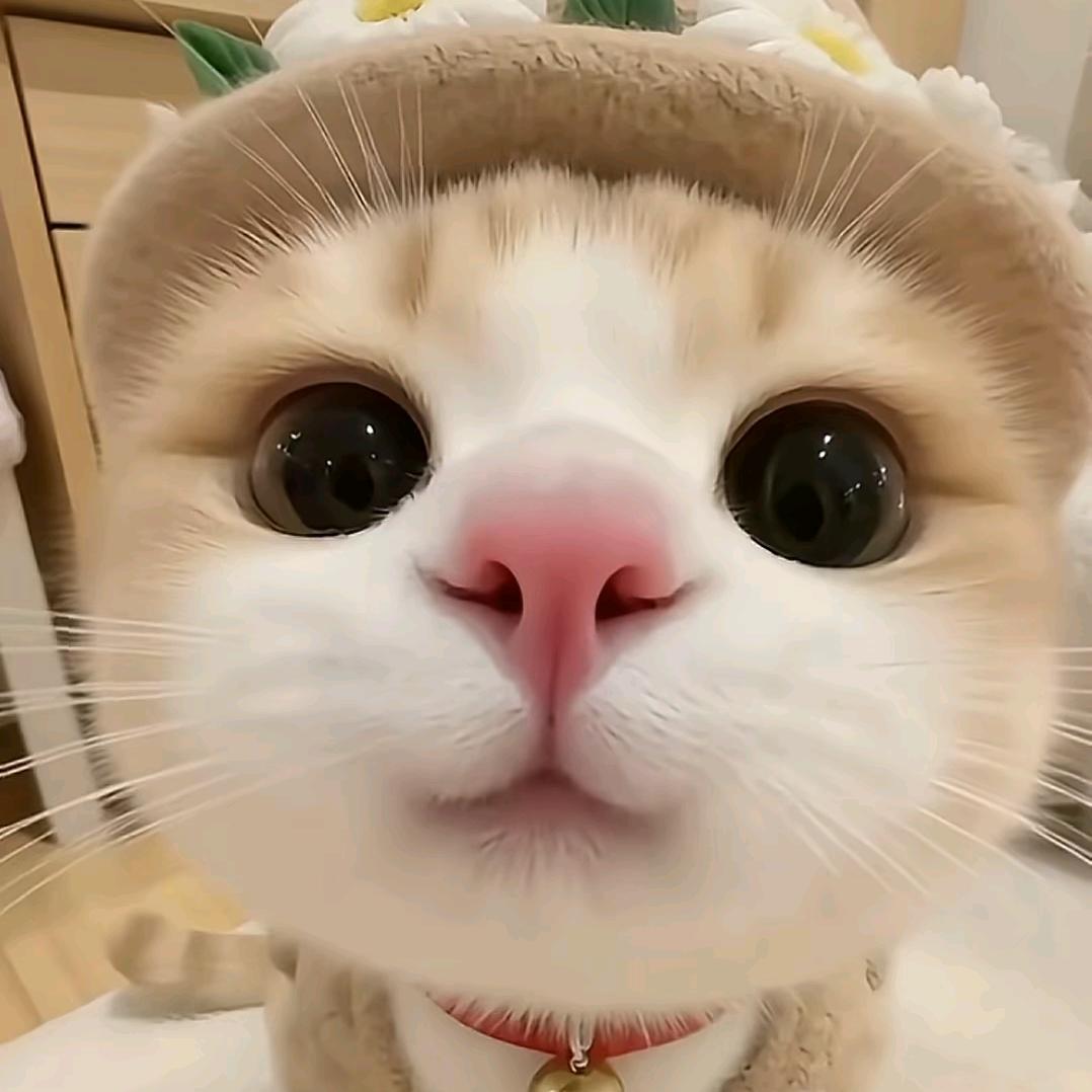 向上~向恶