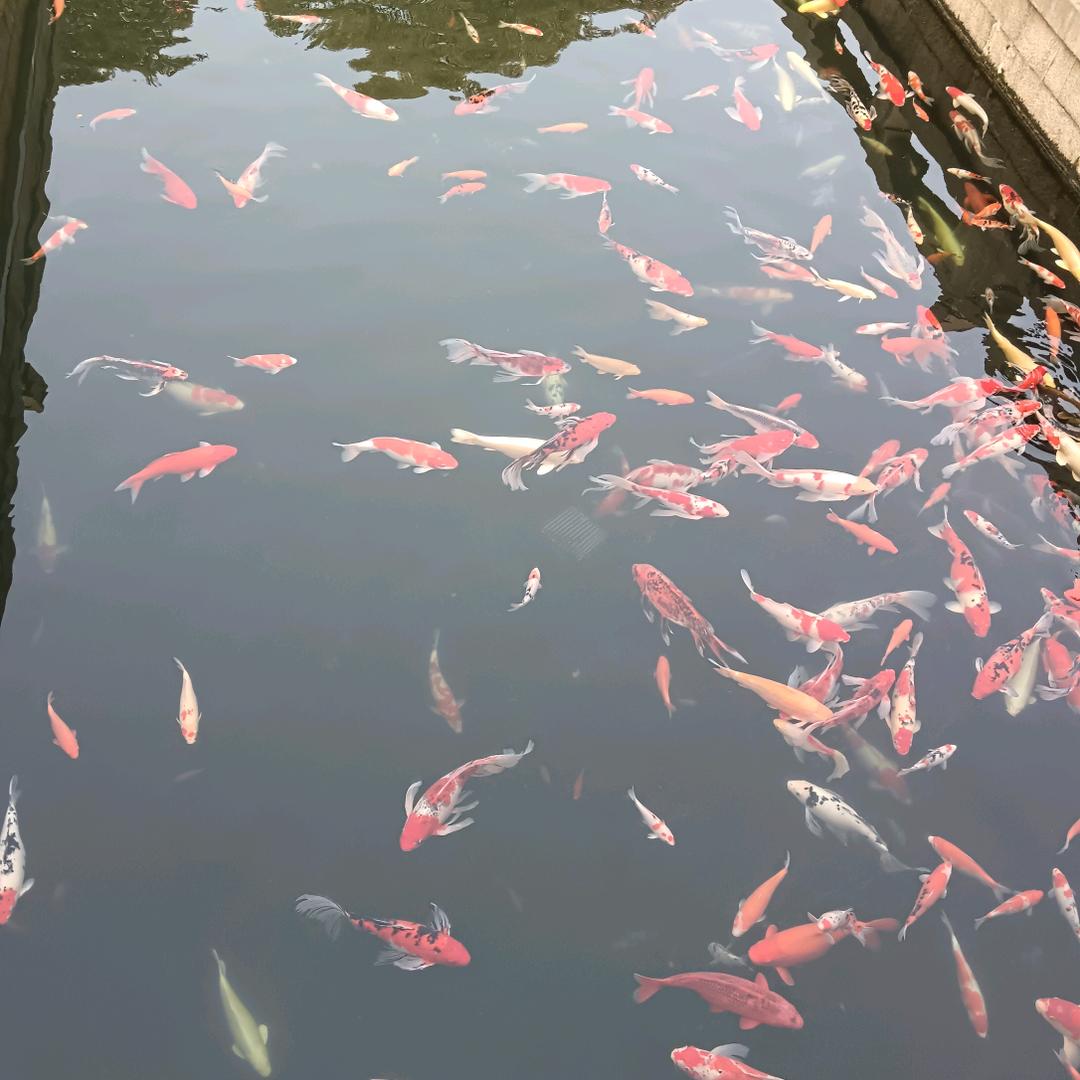 @热血- 青年