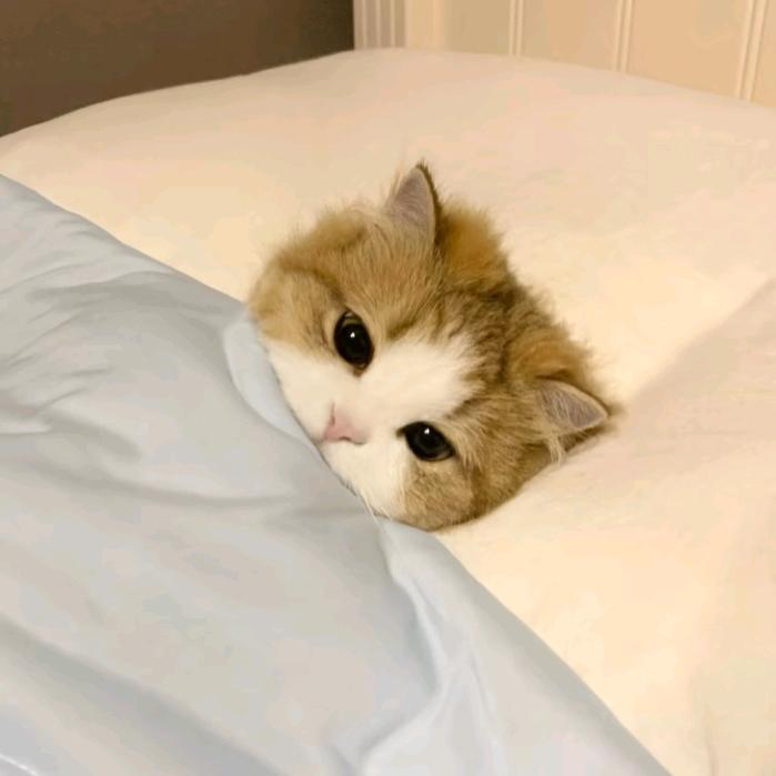 秋