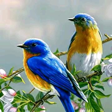 漂洋过海来看你