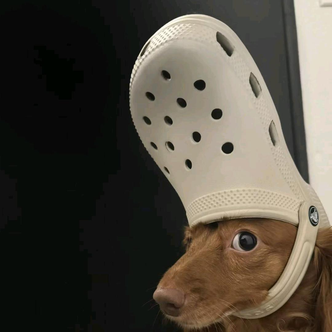 我常常会因为自己的ID不够抽象而感到自卑