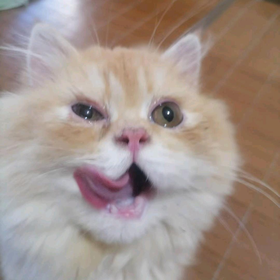 0731小鱼创业记～