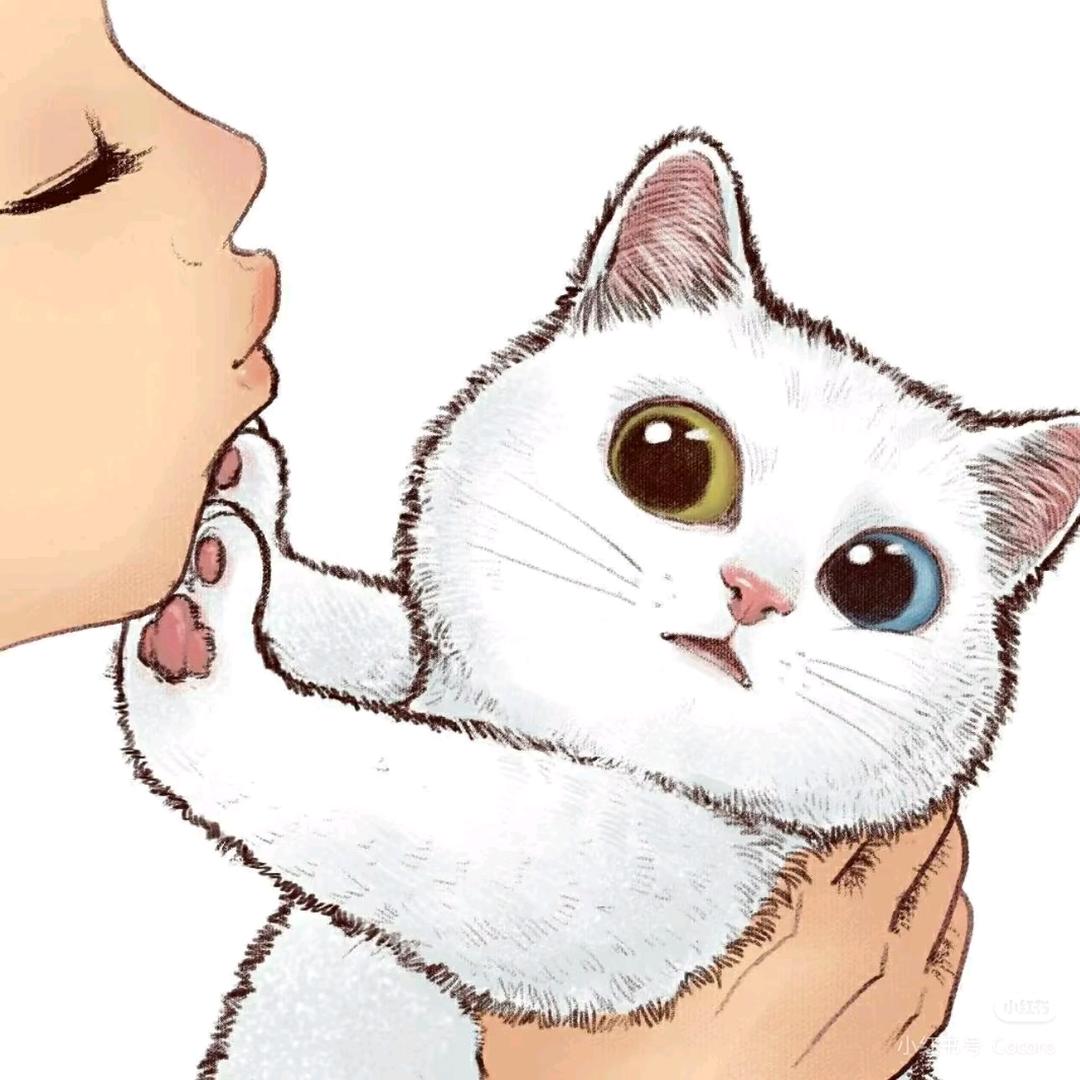 不晚.