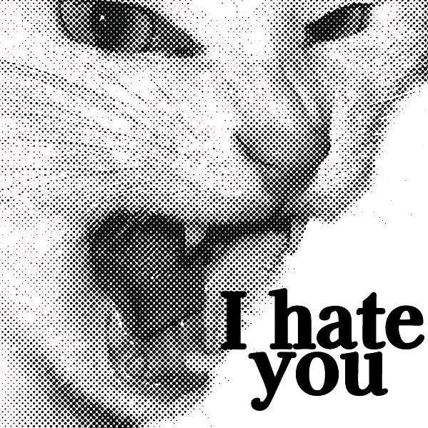 猫咪˙*