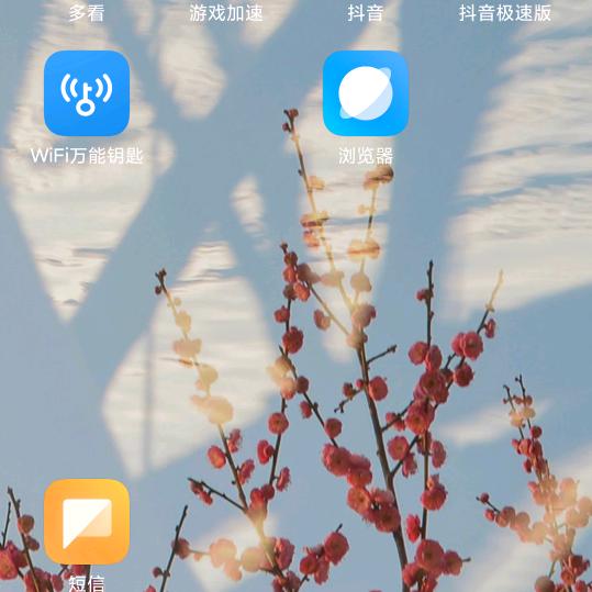 九妹