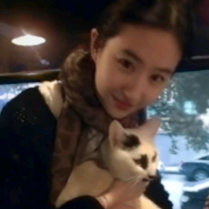 从三十楼一跃而下