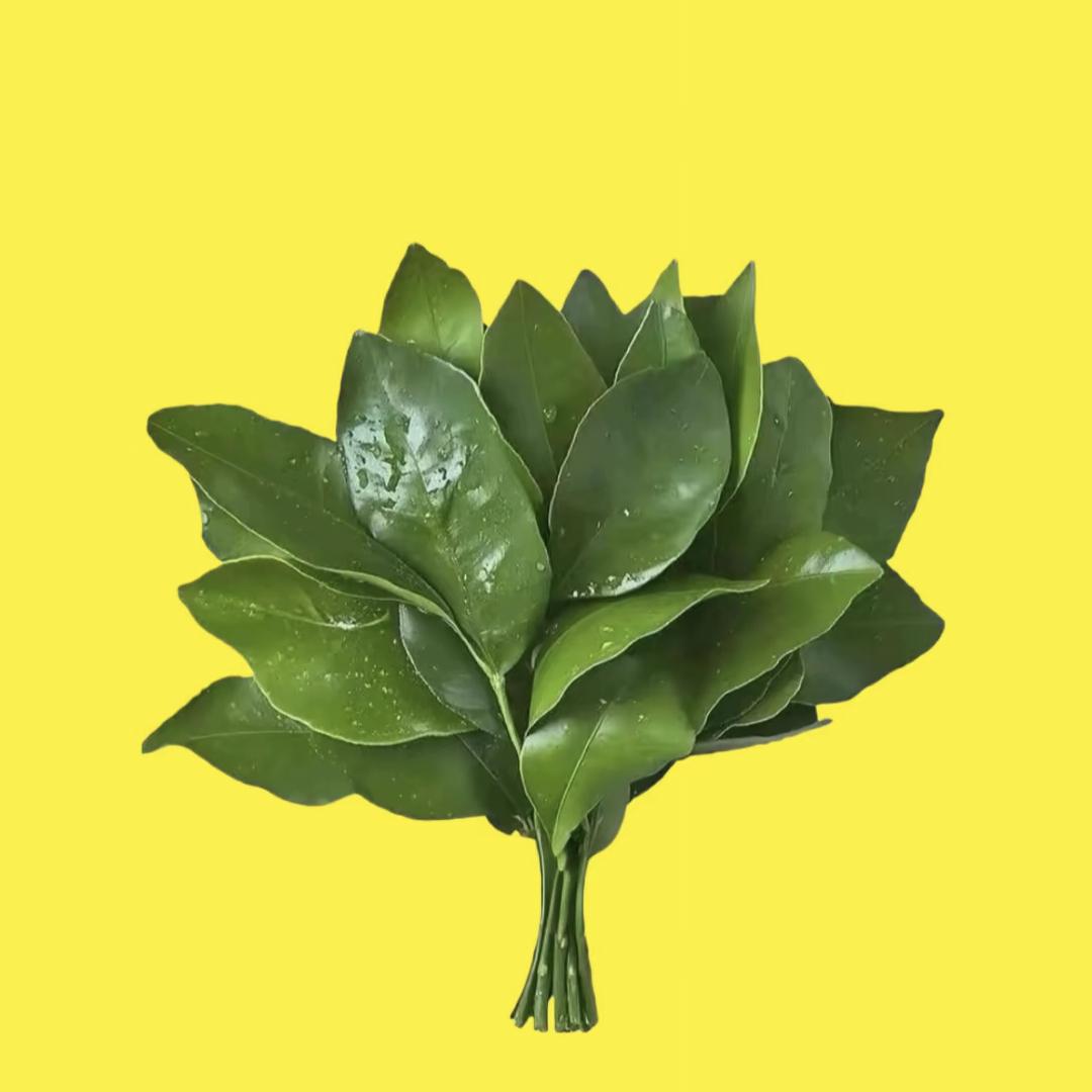 王小年