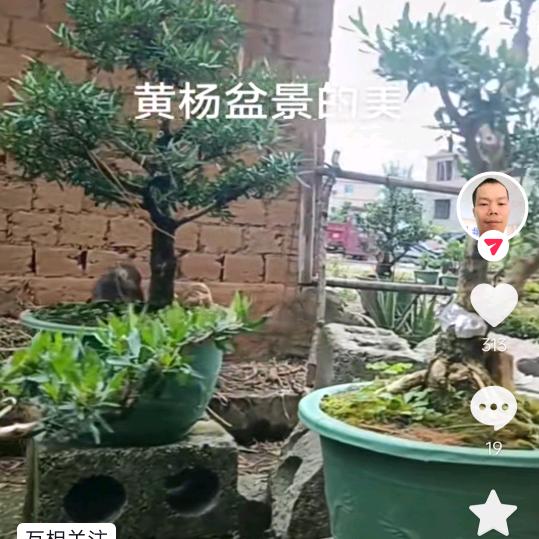 李祖欢