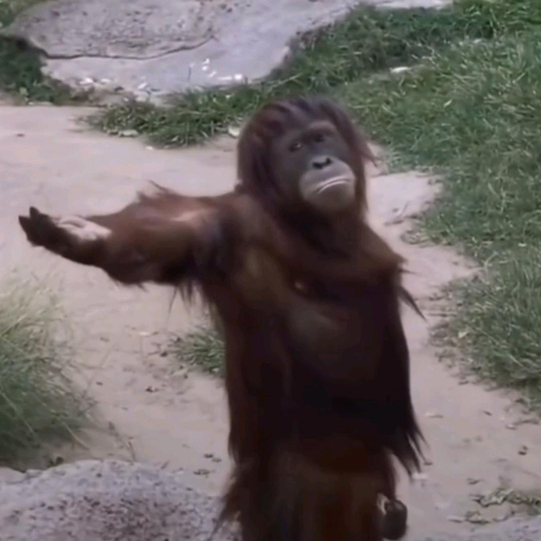 老抽（英雄联盟大王）