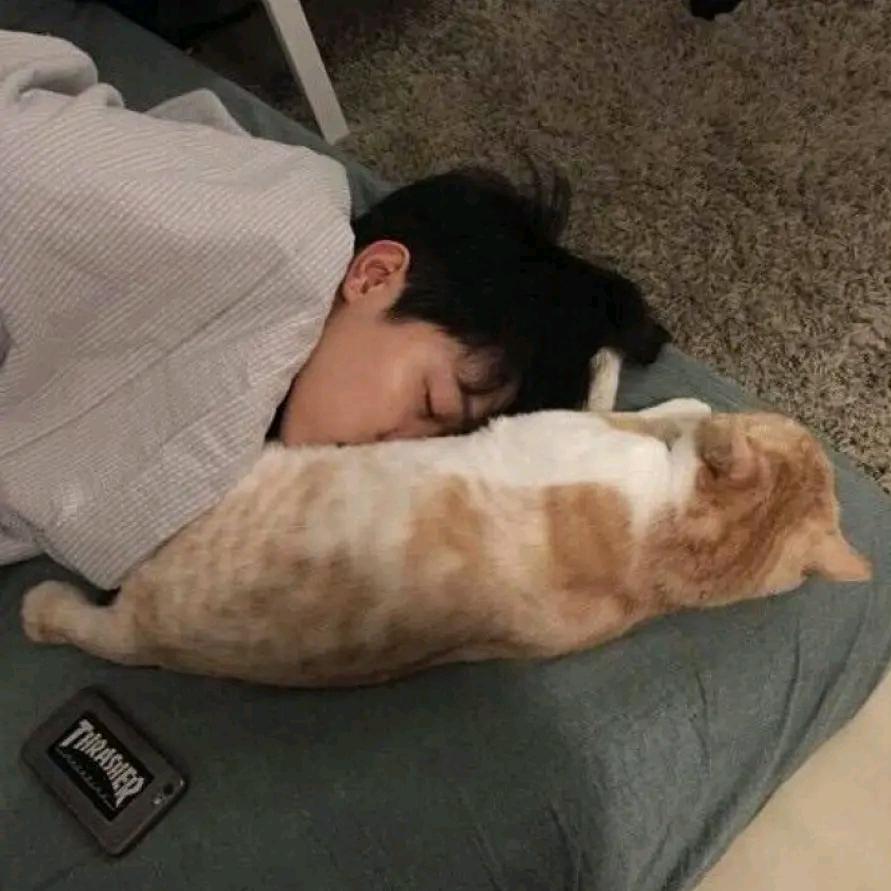 姜杭