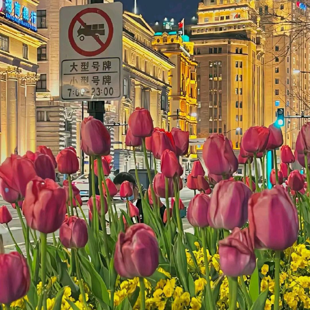 ^泡芙^（限流中）