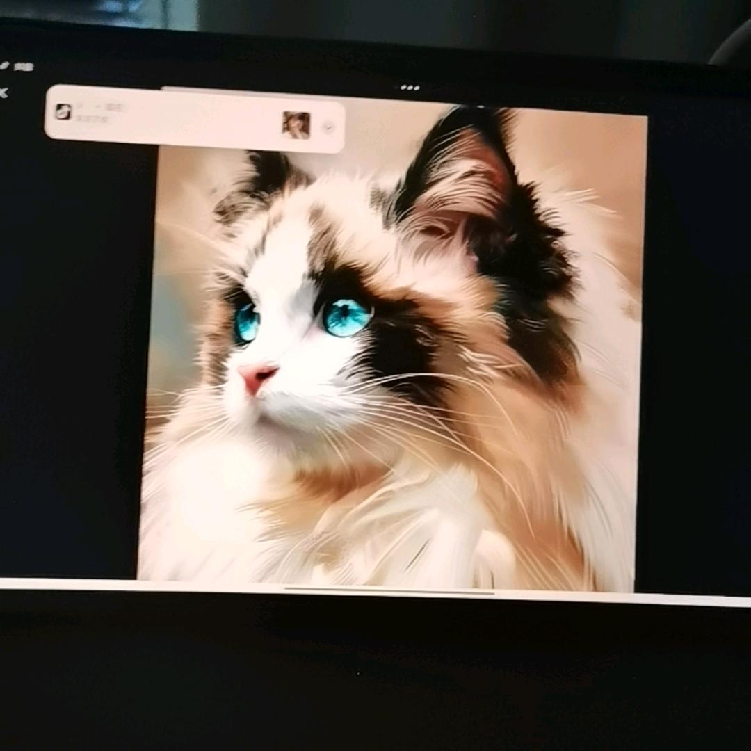 游戏蛋仔派对的之小爱