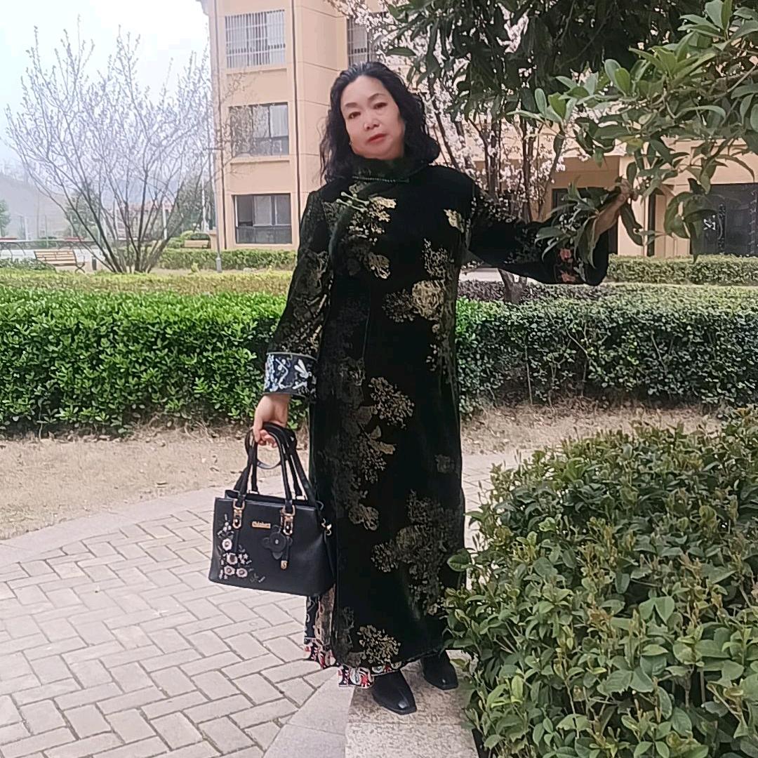向龙菊