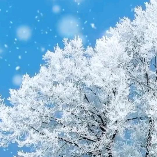 雪落无声