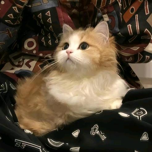 雨雨（睡前故事）