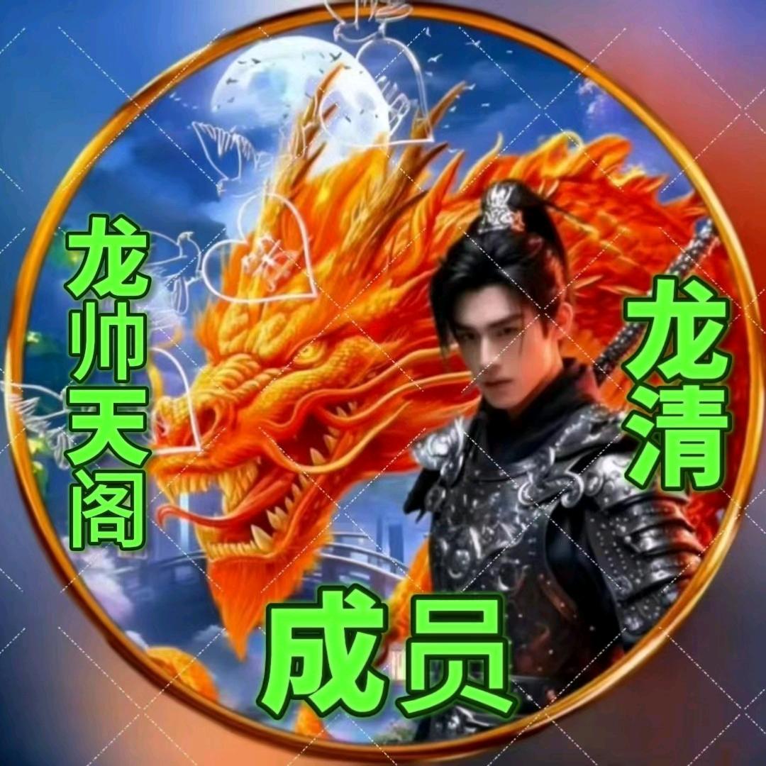 龙帅天阁🈲成员龙清