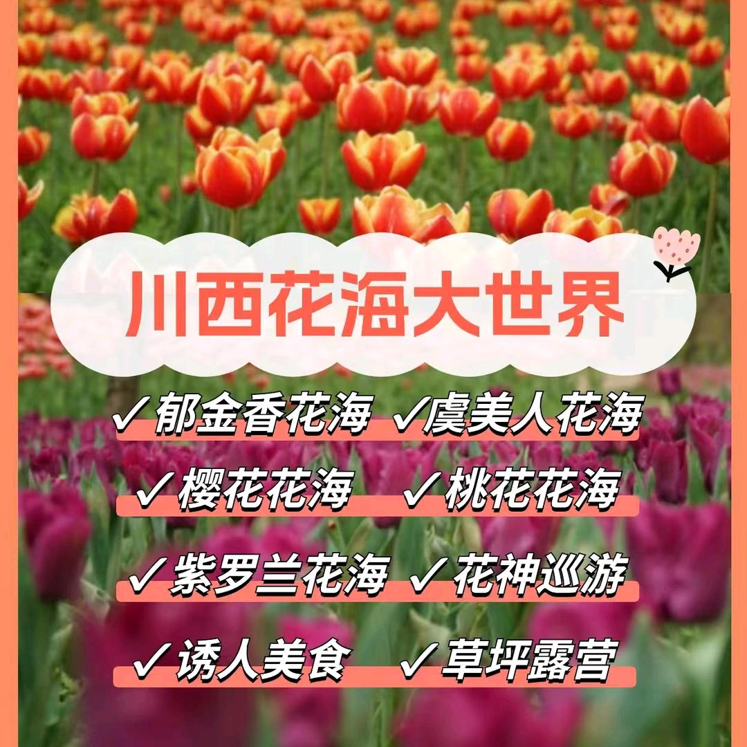 小余带你游全国