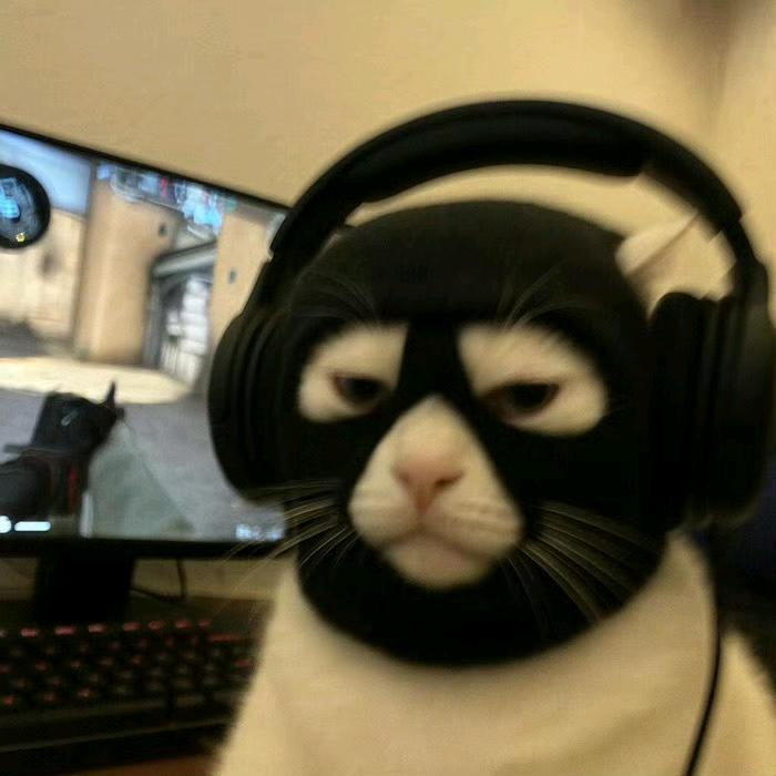 只争朝夕