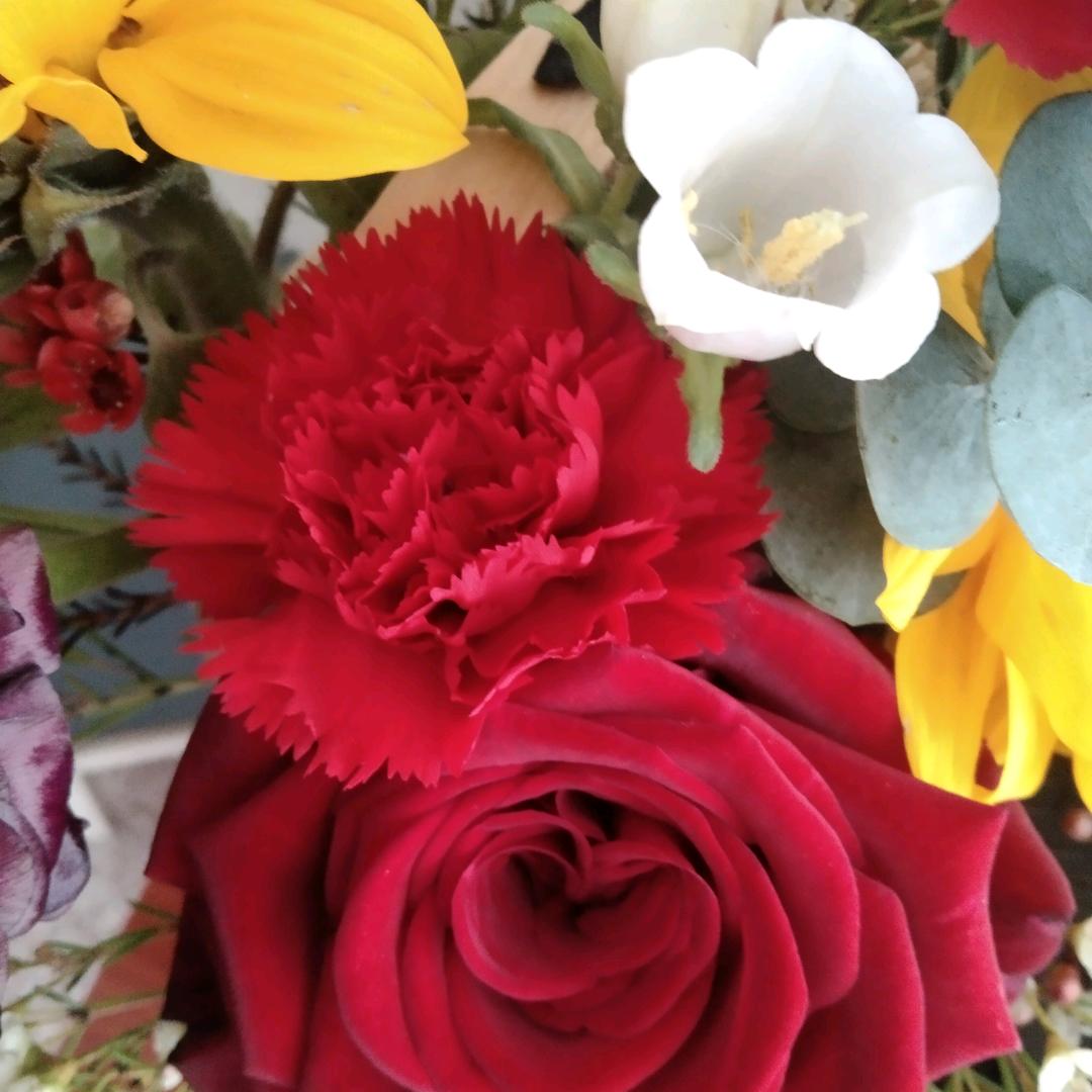 爱❤️心❤️倾城♥80后