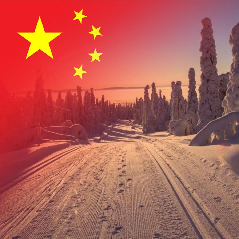 爱爬山的松鼠