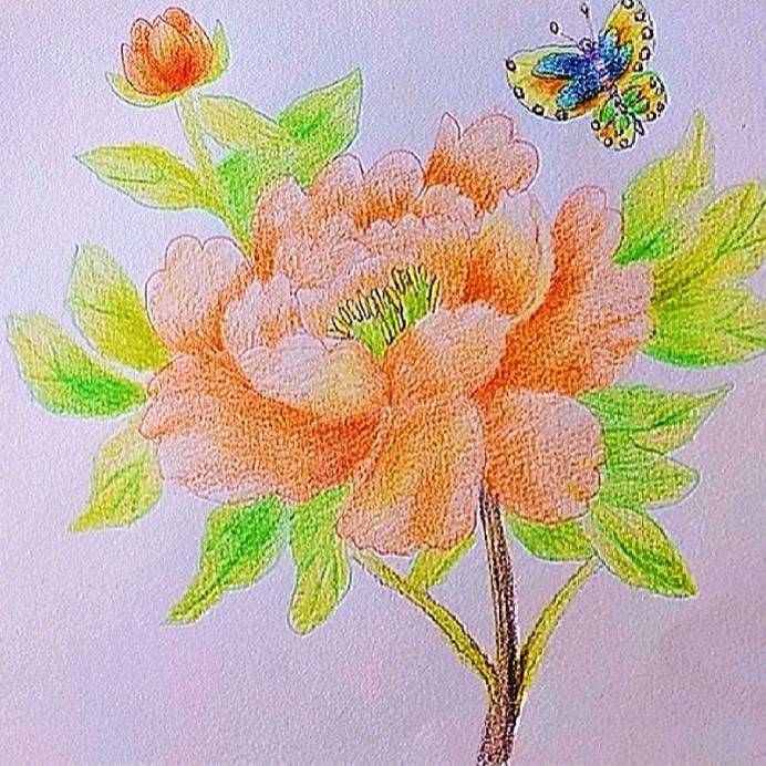 纯美绘画🌸