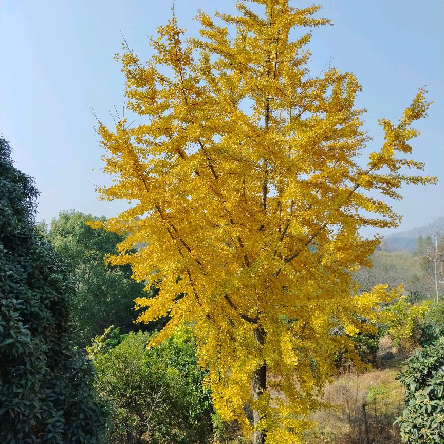 有苦难言《拒绝私聊》