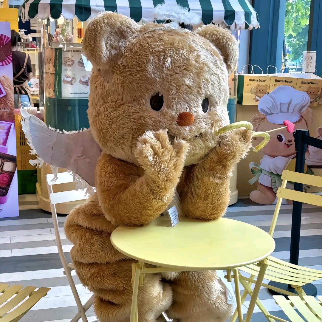小野猫