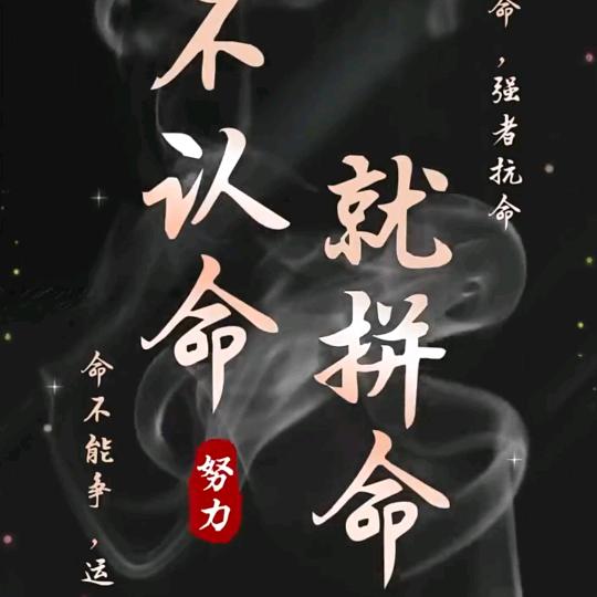 踏✨万千✨星河🐉