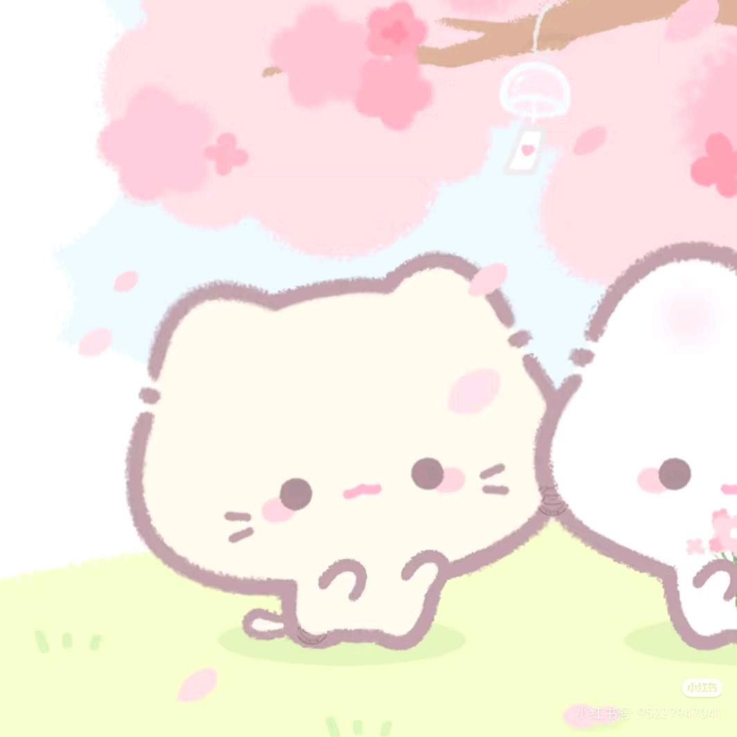 婉沅