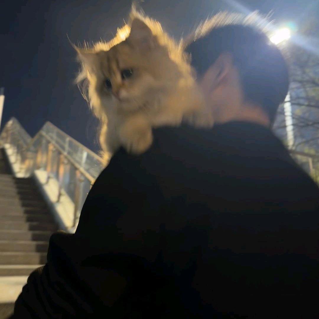 龙 ㅤ