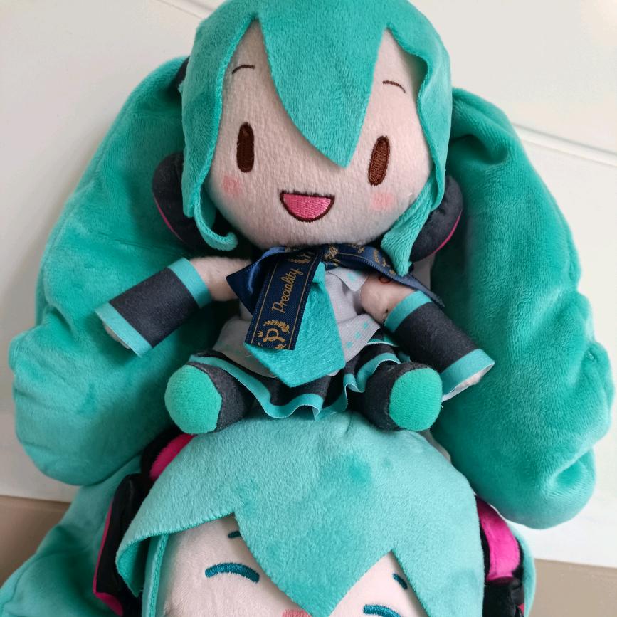 枝枝姐（彬彬有氧）