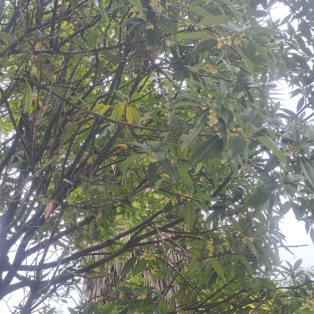靠近美好，远离rz