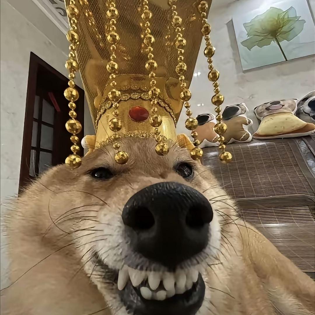 悲伤柠檬