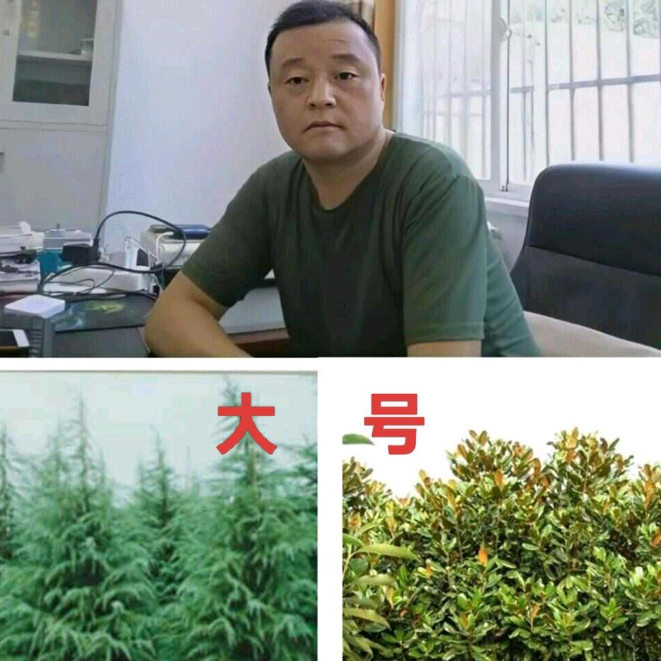 南京喜友苗圃