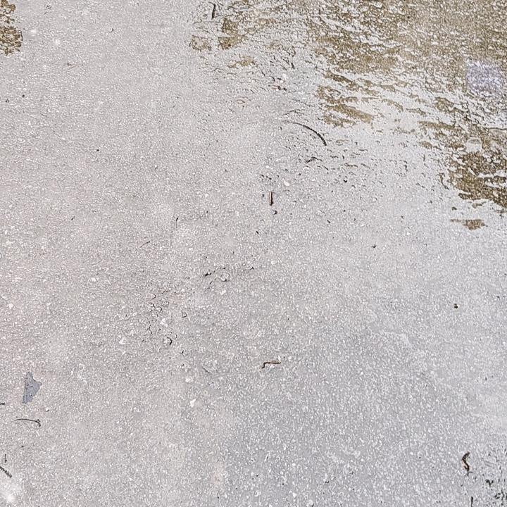 我爱我的家