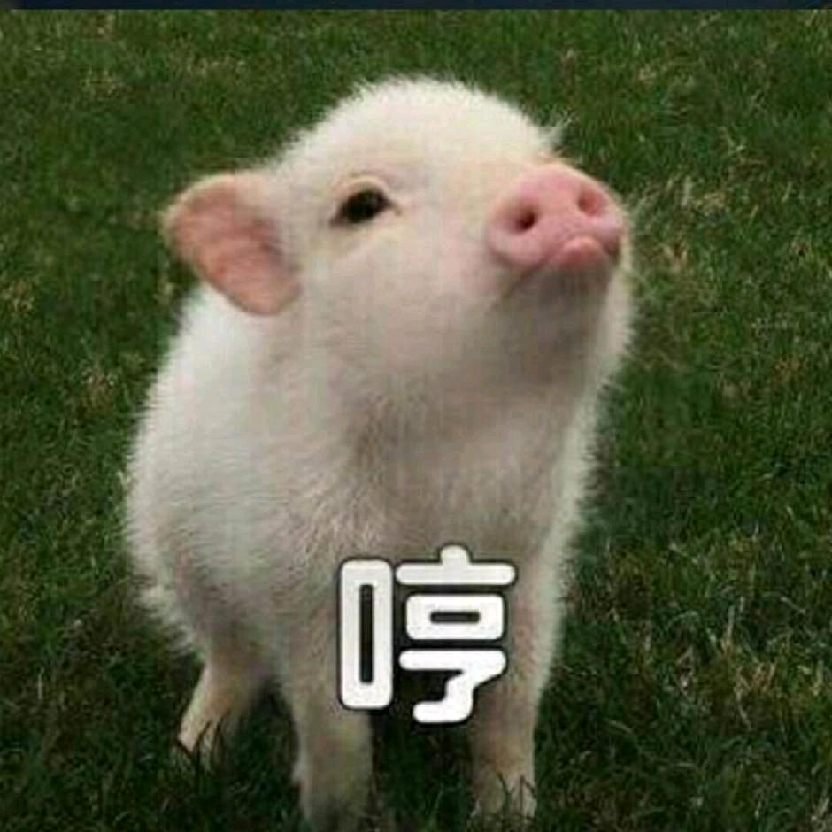 not（墙角小弟版）