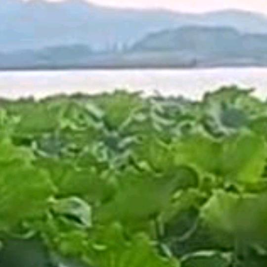 《陶你喜欢》栗子姐💃拒绝私聊