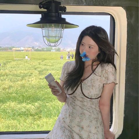 小葵花菜